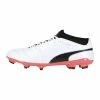 CHAUSSURE FOOT PUMA PUMA ONE 17.3 FG FA.17 - Avis / Test