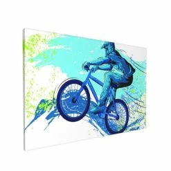Impression Sur Toile,BMX Of Sportsman Cycling Extreme Bike Freestyle Triathlon Vélo Cycle Vitesse,Décoratif Art Prints Toile - Avis / Test