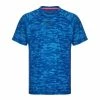 Tshirt Fitness Homme Bleu - Avis / Test